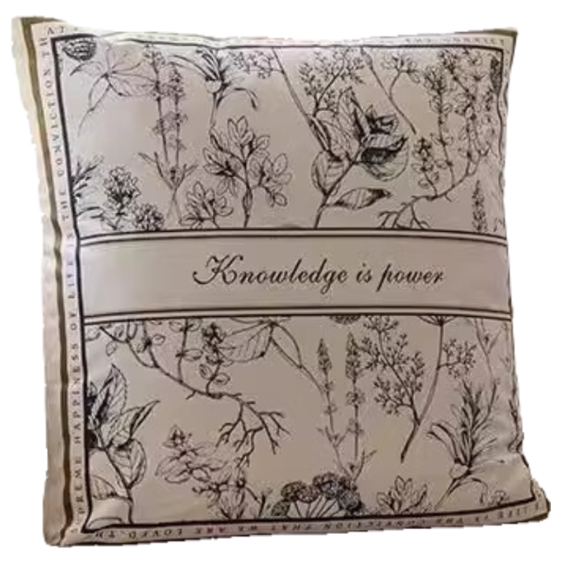Yinshang American Style Luxury Sofa Pillow Living Room Cushion Large Headboard Backrest Big Pillow with Core