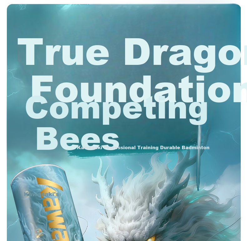 Kawasaki Badminton Shuttlecocks, True Dragon 800, Stable And Durable, for Advanced Competition And Training, Pack of 12 2