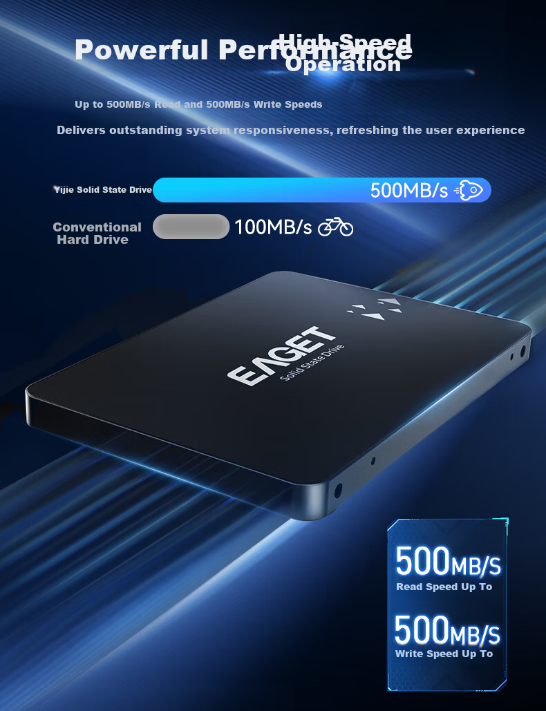 EAGET 256GB SATA 3.0 SSD 550MB/s High-Speed Solid State Drive for Desktop/Laptop S205L with Premium Original Chips 2