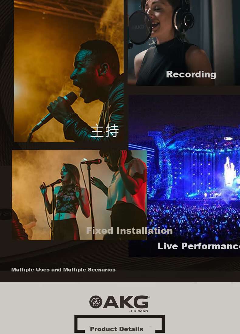 AKG D5 Professional Dynamic Microphone Wired Vocal Microphone for Home Karaoke, Singing, Live Performance, Stage, Recording, Hosting, Choir 3