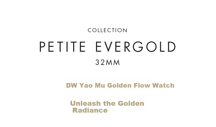 DanielWellington DW Ladies Watch, Light Luxury Gold-Plated Simple Quartz Wristwatch for Women, Birthday Gift for Girlfriend, DW163 2