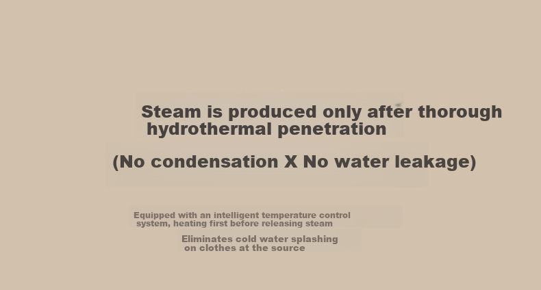 Bear Handheld Garment Steamer 17g/min High Steam 110mL Water Tank Home Mini Iron DYD-E11R3 14