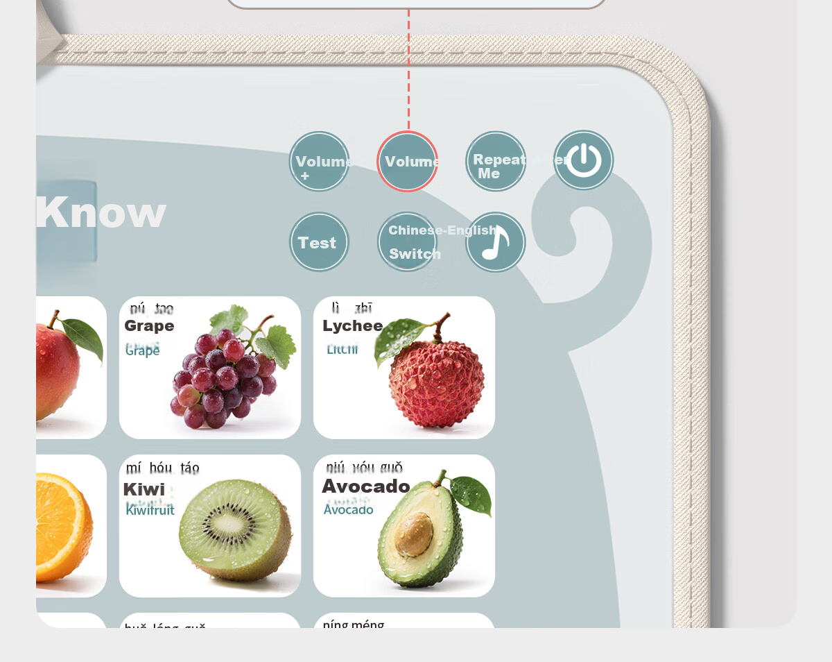 Tushushu Early Education Audio Wall Chart for Infants 0-2 Years Old - Baby Characters, Fruits, Vegetables, Animals, and Transportation Cognitive Learning Toy 15