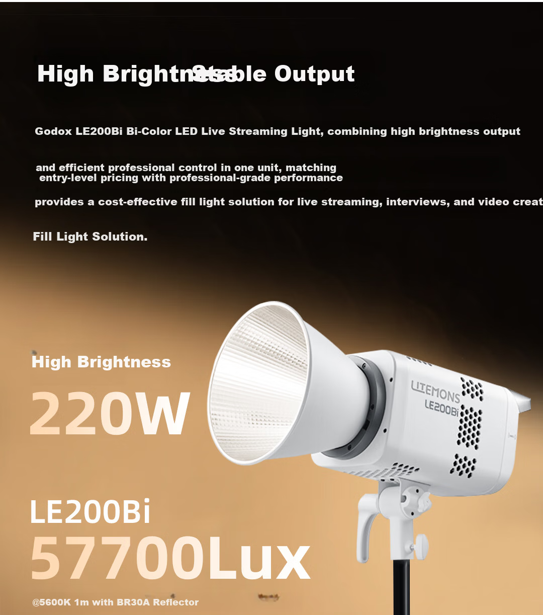 Godox LE200Bi Professional Live Streaming LED Fill Light Beauty Light Photography Indoor Anchor Studio Bi-Color Photography Video Continuous Light [White Version] 1