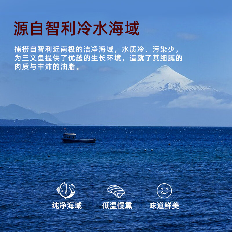 美加佳智利即食烟熏三文鱼刺身(大西洋鲑)净重300g