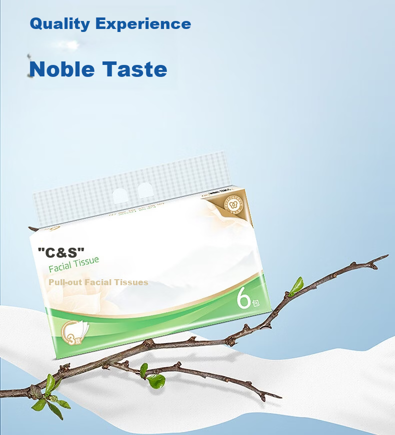 C&S 3-Ply Facial Tissues 100 Sheets x 6 Packs S Size Bulk Pack for Hotel Restaurant Commercial Home Use Napkins 7