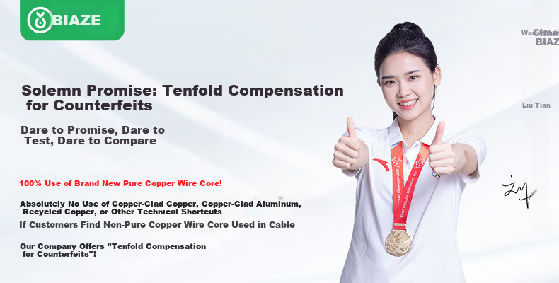 BIAZE Cat5e Commercial Grade Dual Shielded Ethernet Cable [0.5 Pure Copper Core] Gigabit Anti-Interference Network Cable for Engineering, Home Installation, Surveillance - 50m 2