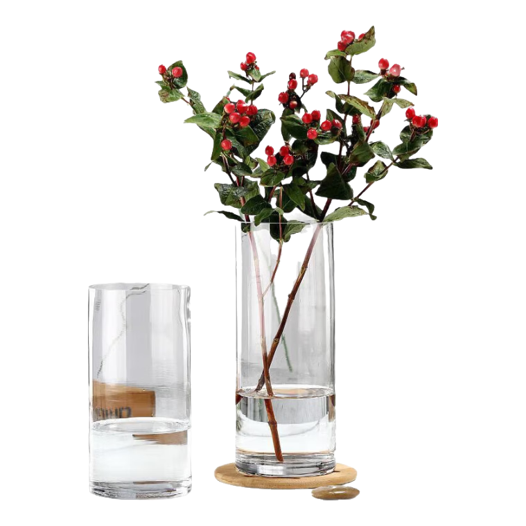 Shengshi Taibao Glass Vase Transparent Lucky Bamboo Hydroponic Container Large Straight Cylinder Vase for Living Room Table Decoration Model 1020