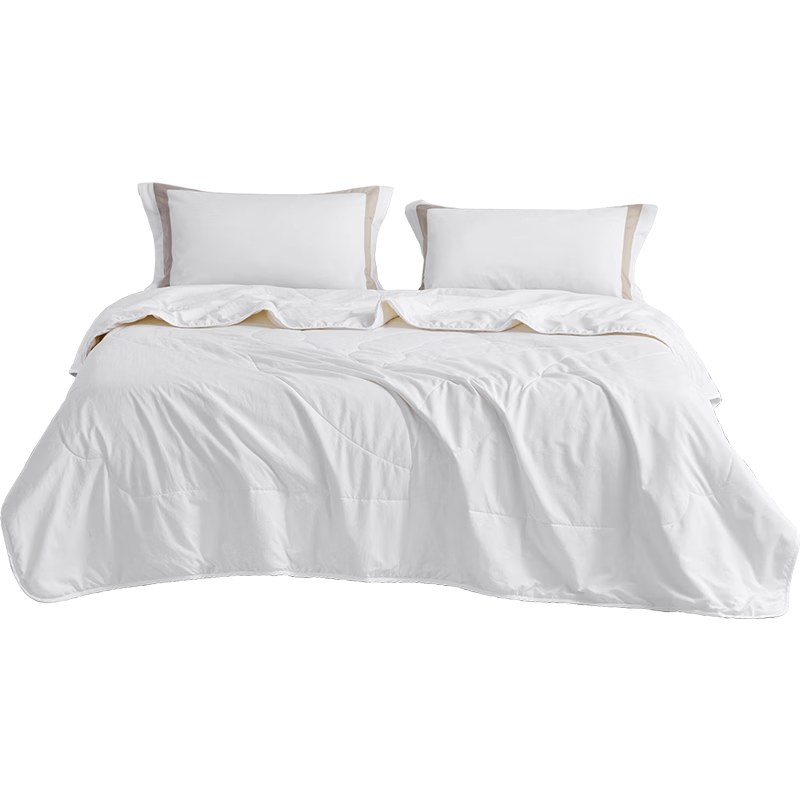 LUOLAI Home Textiles Quilt Duvet Insert, Class A Antibacterial Washable 50% Soy Protein Summer Comforter, 150*215cm, Approximately 1.8 Ji