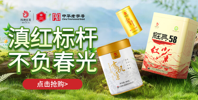 什么红茶好