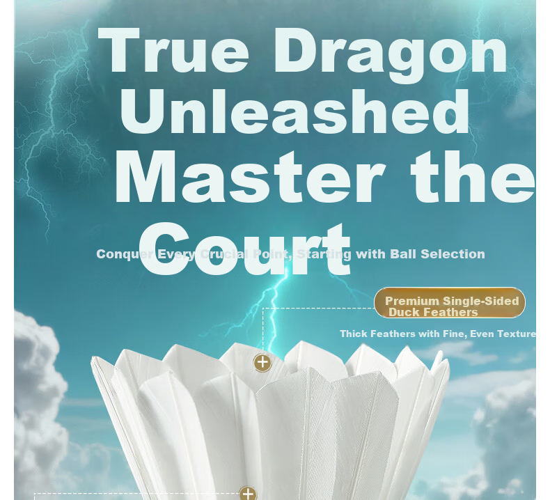 Kawasaki Badminton Shuttlecocks, True Dragon 800, Stable And Durable, for Advanced Competition And Training, Pack of 12 5