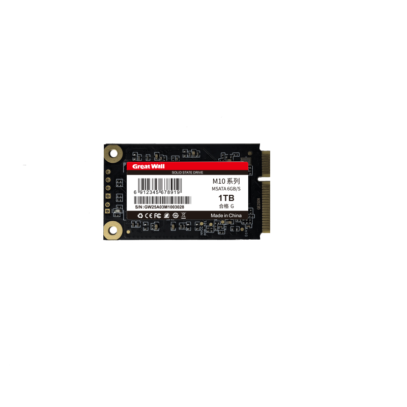 Great Wall 1TB SSD Solid State Drive mSATA Interface Universal for All-in-One Desktop Laptop M10