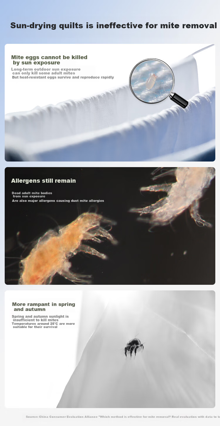 Anmino Anti-Mite Antibacterial Quilt Spring Autumn Winter All-Season Dust Mite Allergy Quilt Core Approx. 4.5 Jin 200*230cm 3