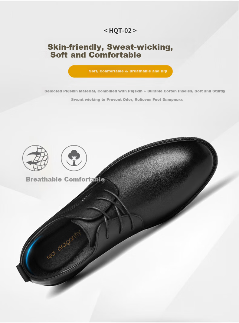 RED DRAGONFLY Men's Lace-Up Flat Versatile Cowhide Casual Shoes, Men's Business Formal Leather Shoes, WTA316921, Black, Size 38 5