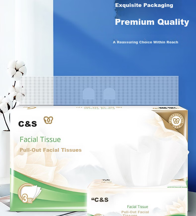 C&S 3-Ply Facial Tissues 100 Sheets x 6 Packs S Size Bulk Pack for Hotel Restaurant Commercial Home Use Napkins 3