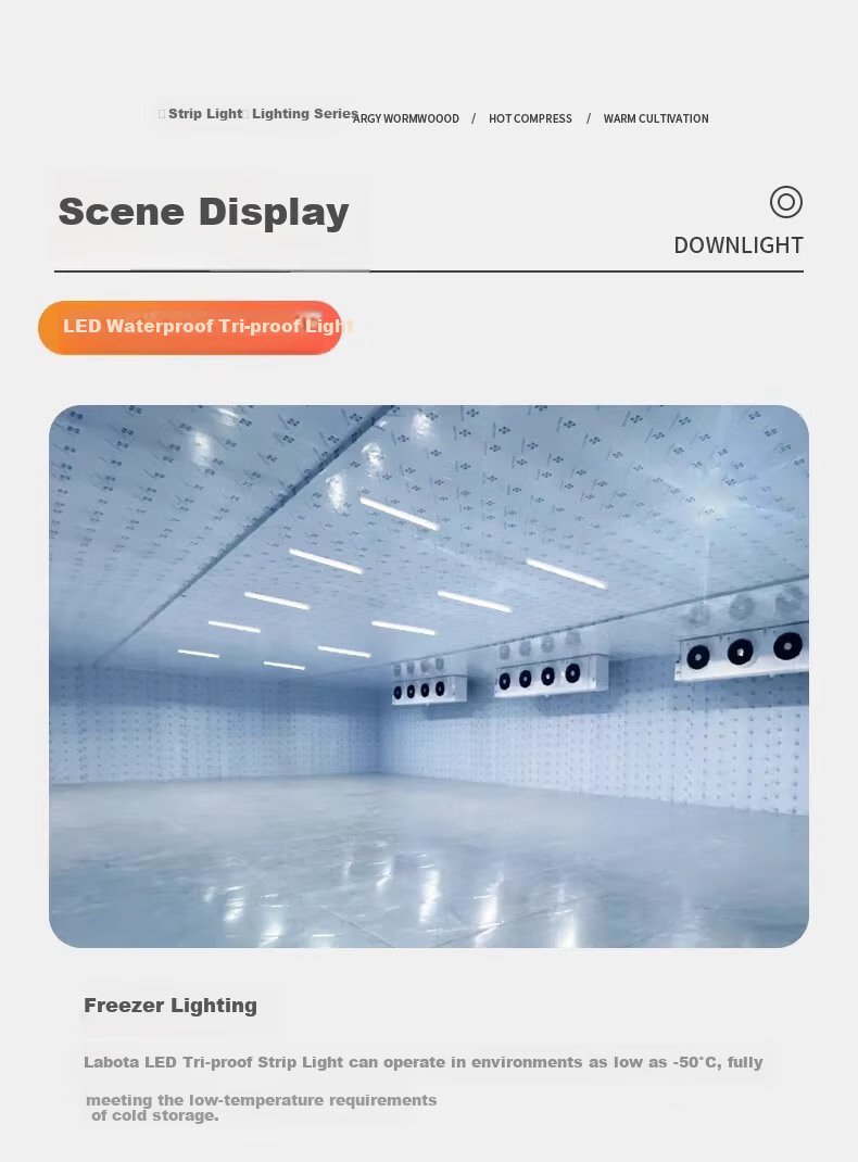 Fanyao LED Tube Light IP65 Waterproof Integrated Bracket Light Frostproof Moistureproof Dustproof Workshop Factory Cold Storage Lighting White Light - 1.2m - 36W 16