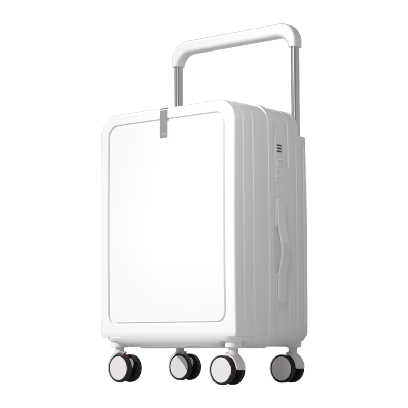 Deli 20-inch Spinner Luggage Wide Telescopic Handle Travel Suitcase Clothes Storage Lockable Carry-on Bag for Men and Women