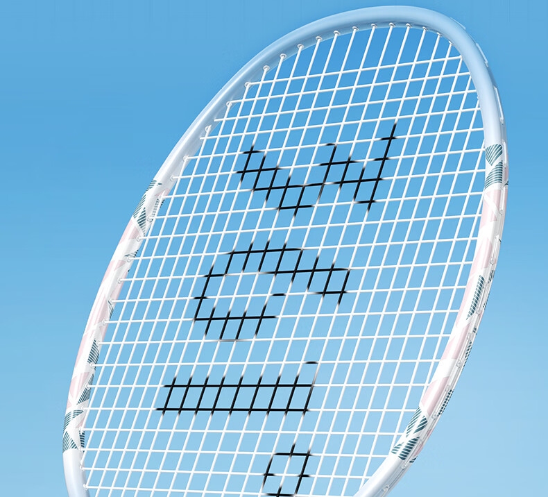 361° Badminton Racket Beginner Set Ultra-Light Durable Training Match Adult Student Double Rackets 10