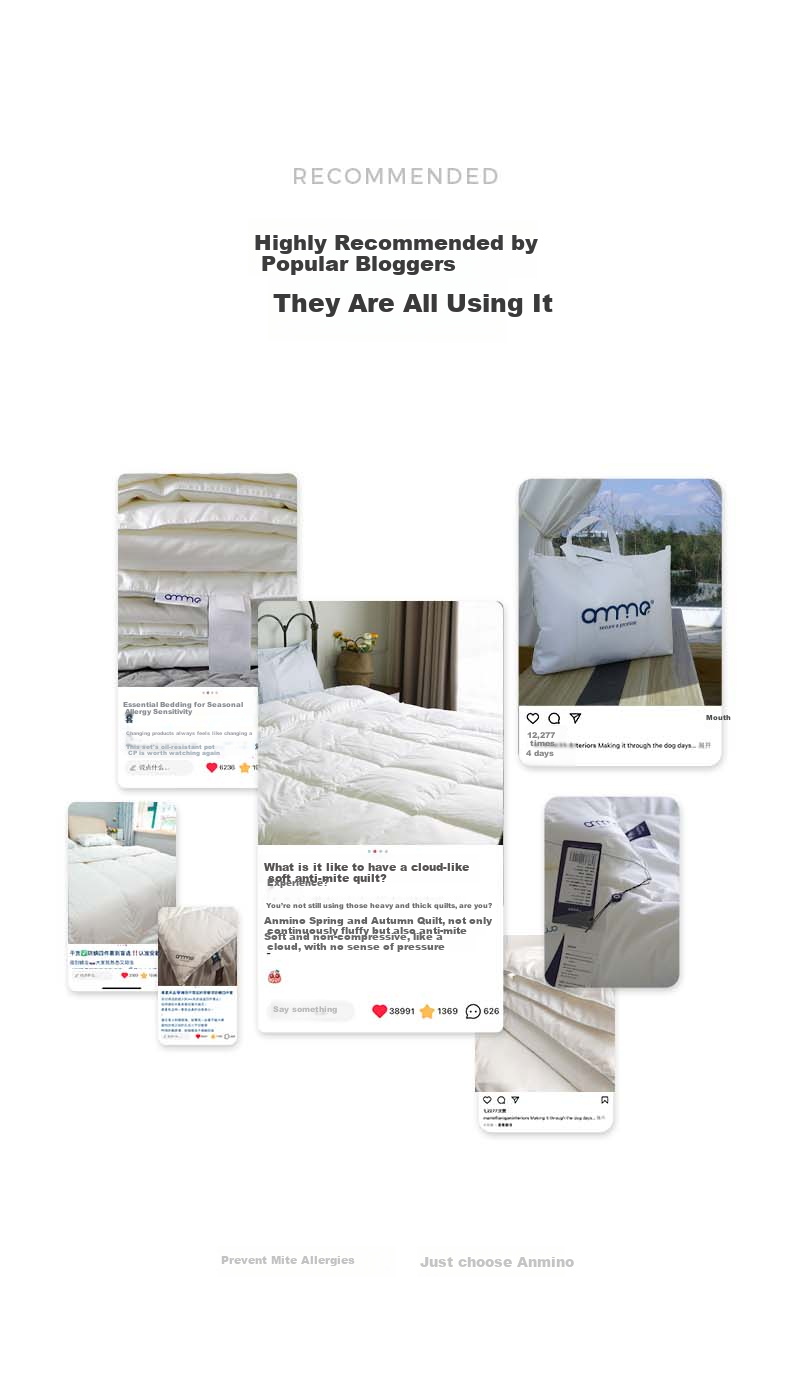 Anmino Anti-Mite Antibacterial Quilt Spring Autumn Winter All-Season Dust Mite Allergy Quilt Core Approx. 4.5 Jin 200*230cm 15