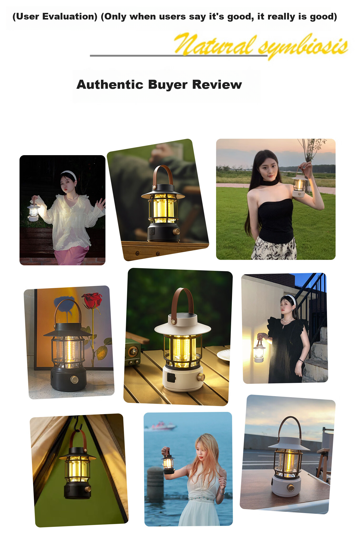 FSL Foshan Lighting Solar Outdoor Camping Garden Rural LED Lamp JD Self-operated Long Battery Life 3
