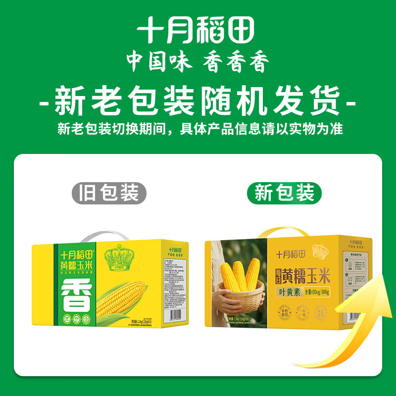 十月稻田 黄甜糯玉米 10根 4.4斤 东北甜黏玉米棒 杂粮礼盒 早餐苞米