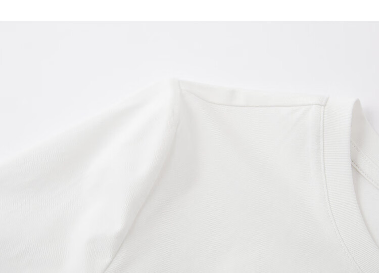 Demana [Sorona Breathable] Spring Simple Style Round Neck Ruched Embroidery Mid Sleeve Petite Women's T-Shirt 17