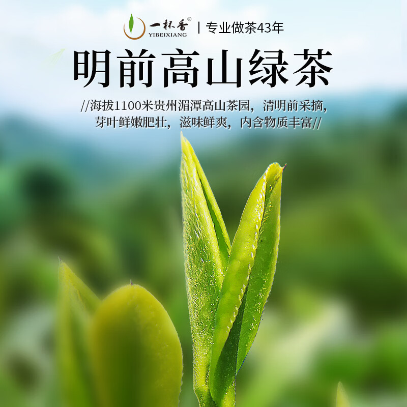 一杯香茶叶茉莉花茶银针横县特级200g新茶礼盒装送礼自己喝散装