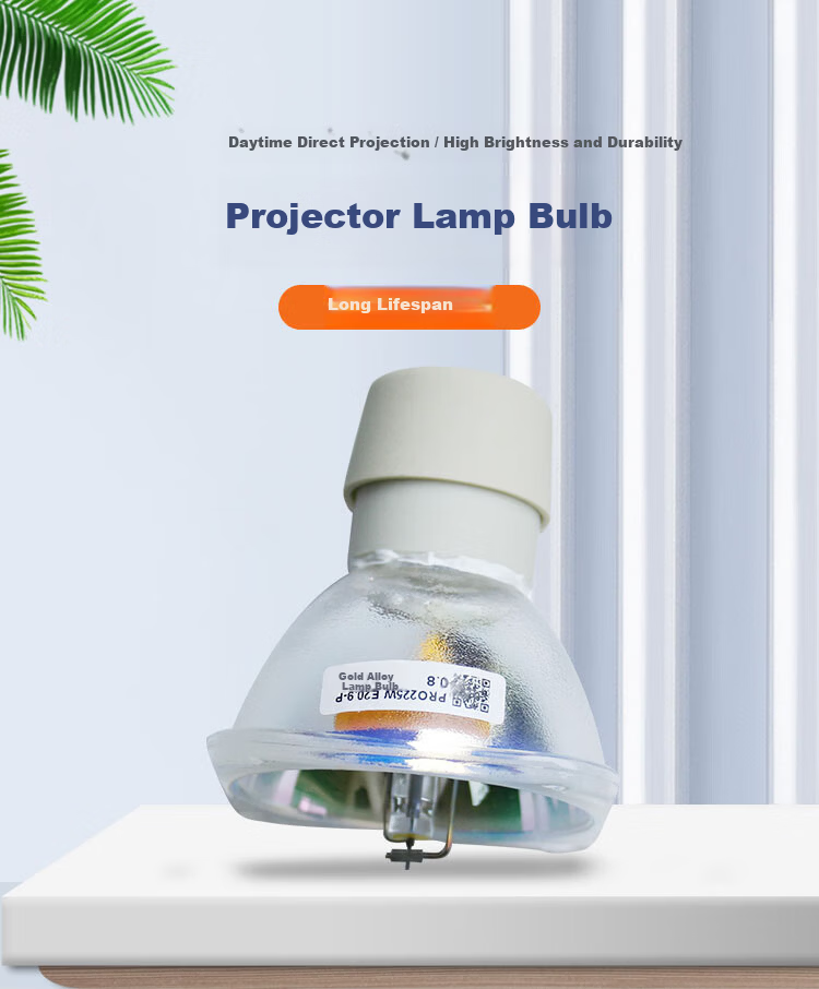 Rongjin Projector Lamp Bulb Compatible with BenQ E500JD/ED933/MU686/EN8080D/DX806ST/MS3081/MP512/MP612/PJKW3360 Domestic Brand Lamp Bulb 2