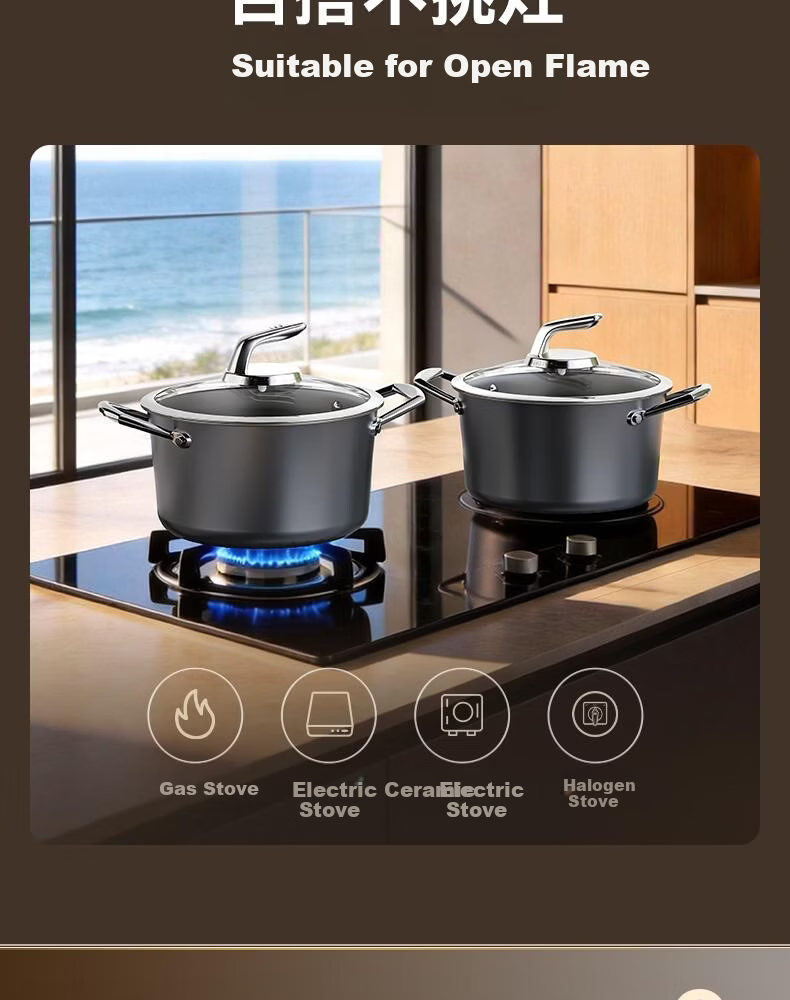 Alluflon Aluflon Pure Titanium Soup Pot Healthy 0-Fluoride Non-Coated Stew Pot Steaming Cooking Induction Gas Stove Compatible 22cm 12