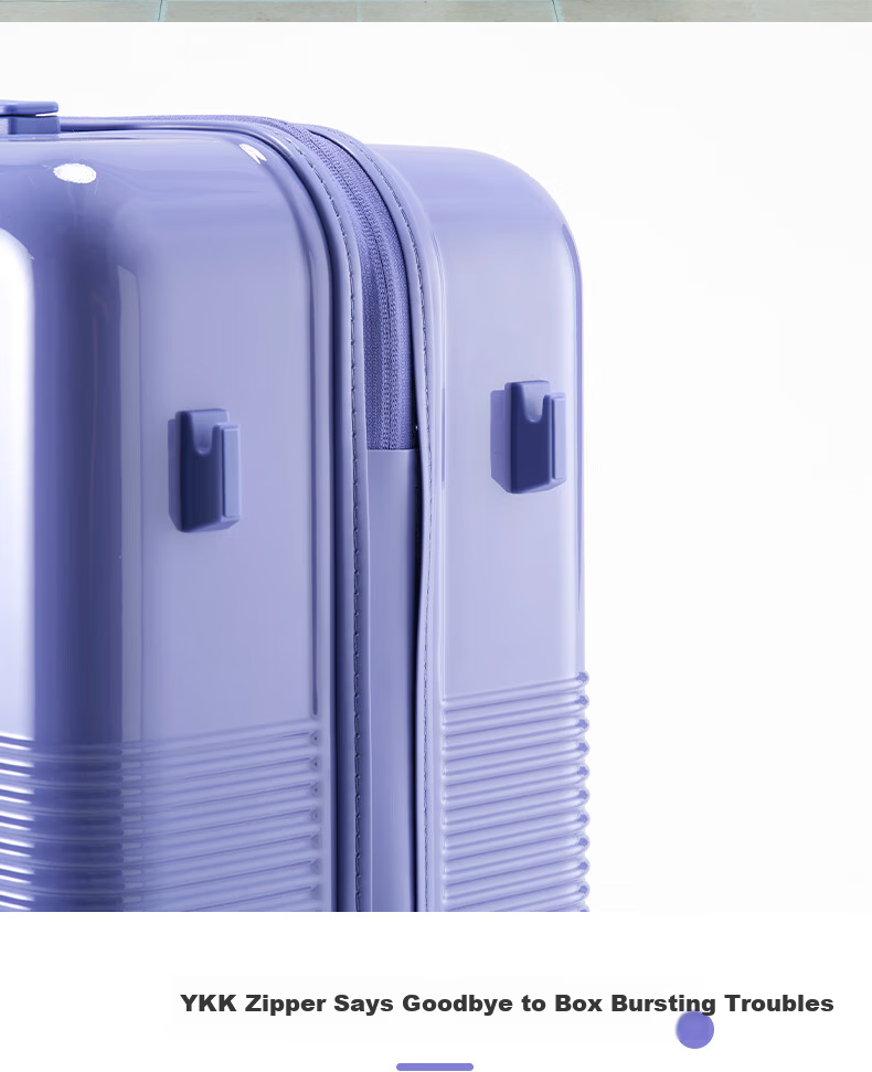 Diplomat Large Capacity Luggage Suitcase Thickened Password Lock TC-2621 Lilac Purple 28 Inch 12
