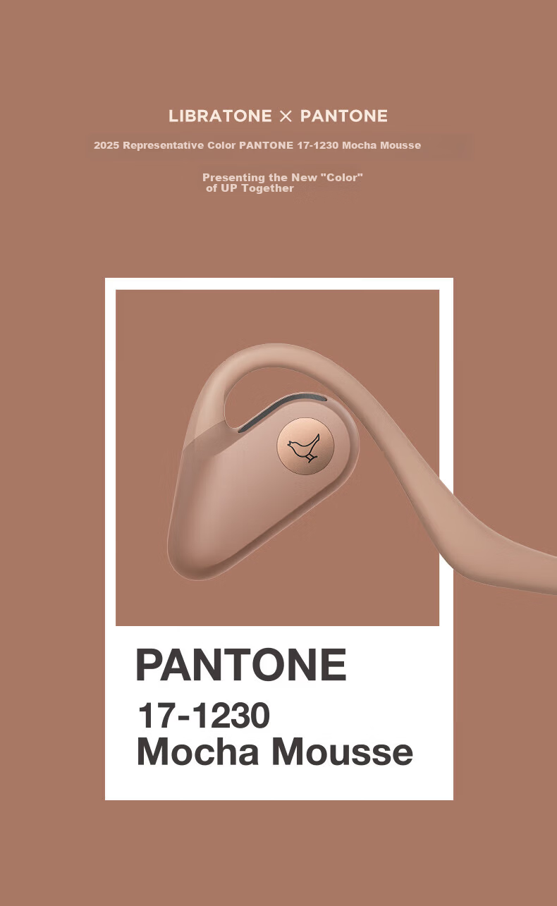 LIBRATONE Birdy UP Open-Ear Bluetooth Earphones Wireless Sports Running Outdoor Cycling Lightweight Headphones for Apple Huawei 2
