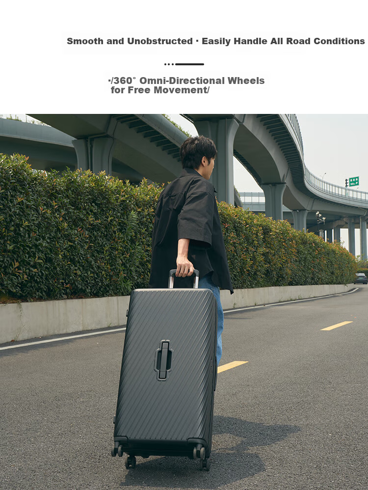 Diplomat Large Capacity Trolley Luggage Travel Suitcase Password Lock TC-2619 Moonlight Silver 26 Inch 11