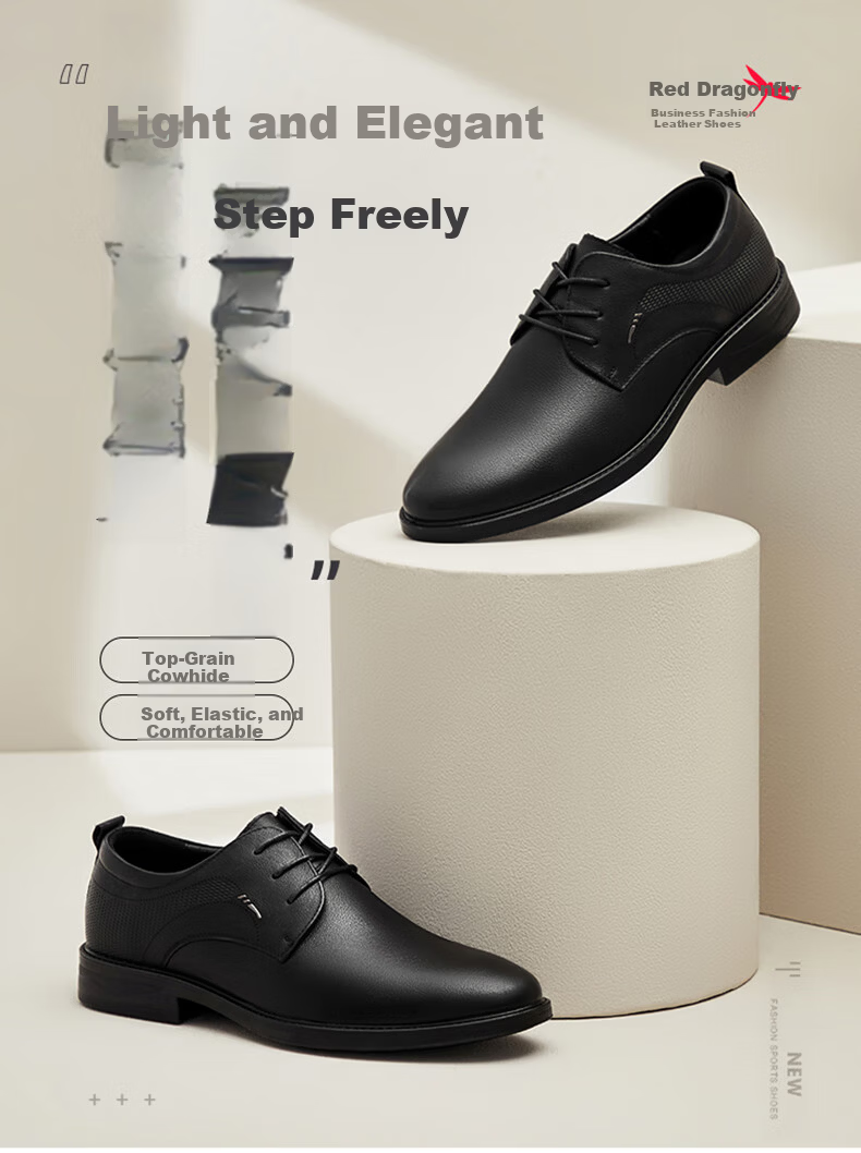 RED DRAGONFLY Men's Lace-Up Flat Versatile Cowhide Casual Shoes, Men's Business Formal Leather Shoes, WTA316921, Black, Size 38 1