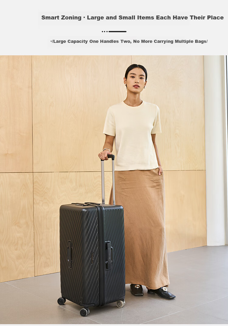 Diplomat Large Capacity Trolley Luggage Travel Suitcase Password Lock TC-2619 Moonlight Silver 26 Inch 4
