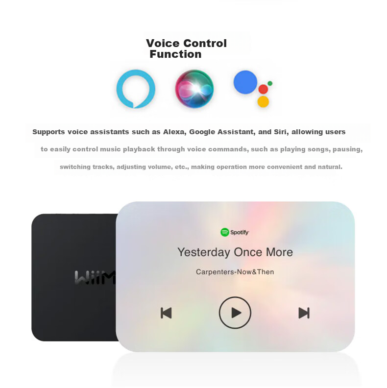 WIIM Mini Digital Streamer DAC All-in-One Lossless HiFi Home Music Digital Player Desktop Music Streaming Airplay Wireless Network Audio Decoder 8