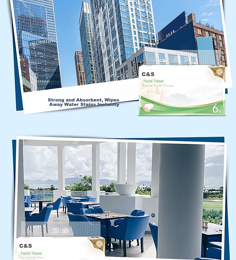 C&S 3-Ply Facial Tissues 100 Sheets x 6 Packs S Size Bulk Pack for Hotel Restaurant Commercial Home Use Napkins 10