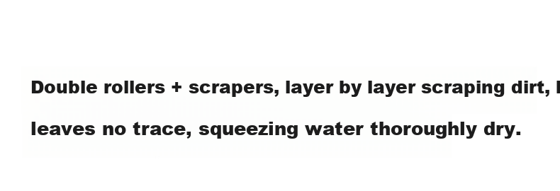 Mayflower Flat Mop 42cm 2 Cloths Household Hands-Free Cleaning Mop 2026 Water-Absorbent Floor Mop 5