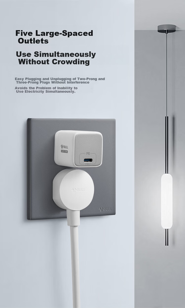 BULL G60 Series 16A Switch Socket Ultra-thin Panel G60E204 Phantom Gray 5