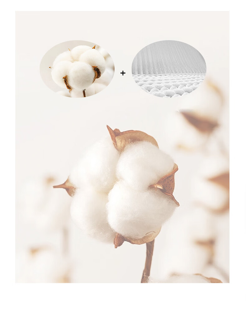 MUJI Cotton Quilted Waterproof Fitted Sheet Full Coverage 1.8x2m Class A Xinjiang Cotton Mattress Cover Single Piece 5