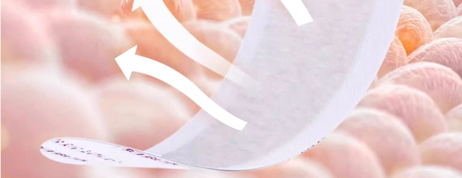 Fuyan Jie Snow Lotus Herbal Intimate Care Pads Portable Travel Sanitary Napkin Care 2 Pads * 3 Packs 6