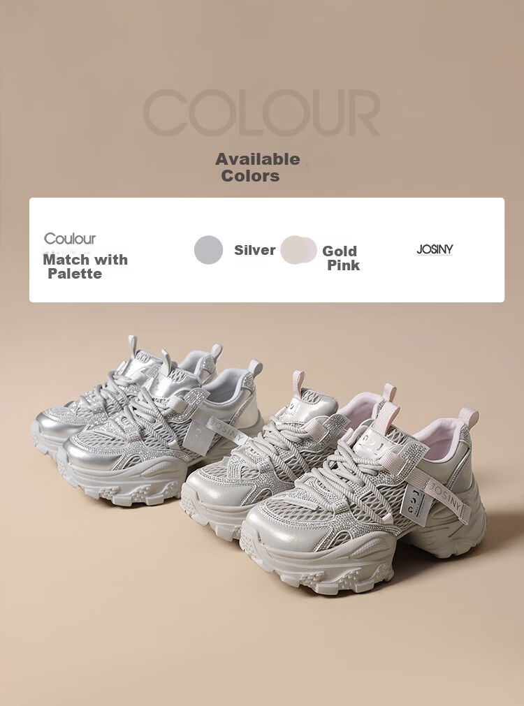 Zhuoshini Women's Thick Sole Dad Sneakers 2025 New Autumn Slimming Sports Casual Shoes Height Increasing Silver Size 39 2