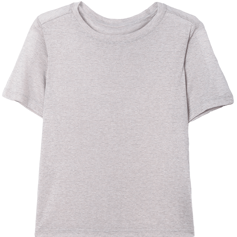 Demana [Mulberry Silk and Vinegar Fiber Blend] Summer Simple Style Round Neck Shiny Stripe Slim Fit Short Sleeve T-Shirt for Women Premium Feel