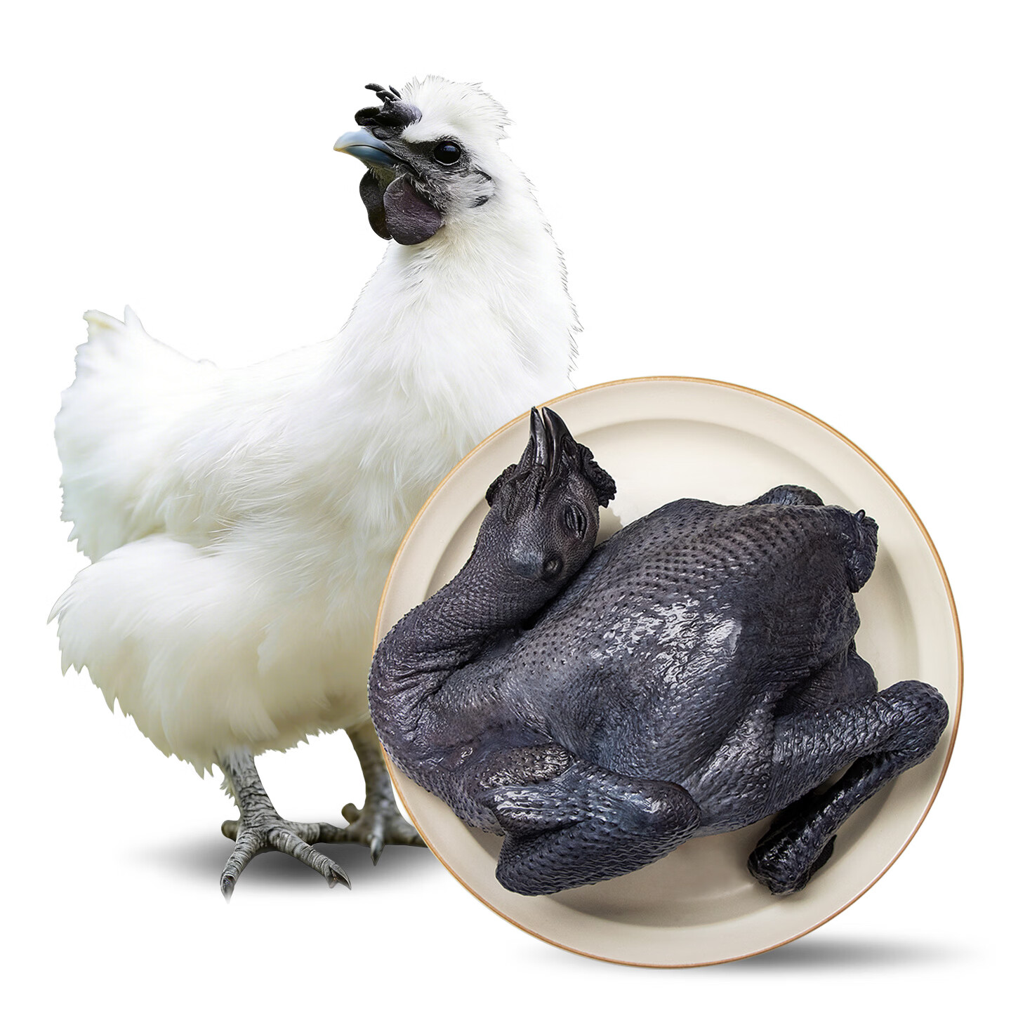 京觅京东跑步鸡 白凤乌骨鸡120天走地鸡月子餐鸡 汤滋补散养土鸡2斤