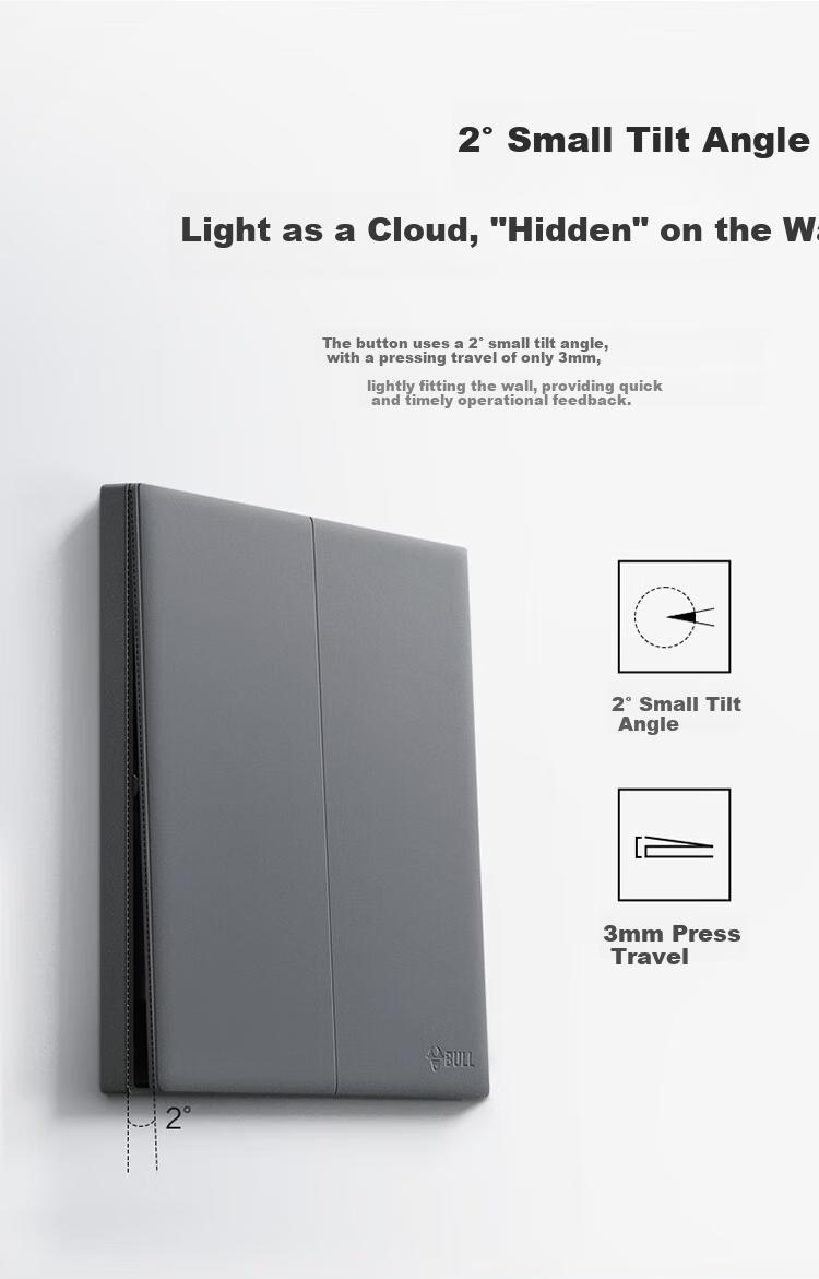 BULL G60 Series 16A Switch Socket Ultra-thin Panel G60E204 Phantom Gray 6