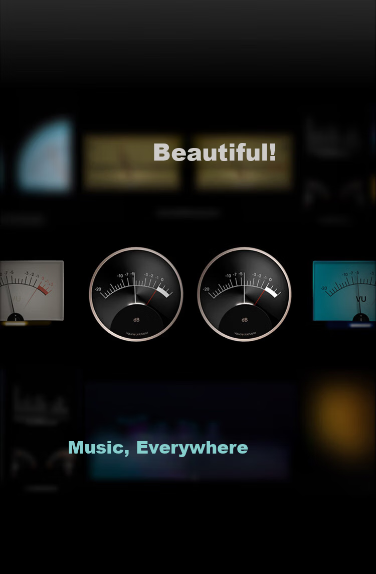 EVERSOLO DMP-A6 Gen 2 Streaming HiFi Music Player DAC Integrated High-Fidelity DSD Decoder [Dual ES9038Q2M] 23