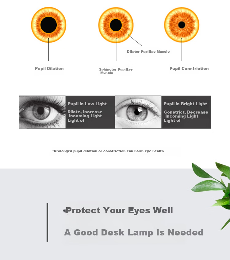 XinYouSuoShu Rechargeable Desk Lamp Long Battery Life Student Eye Protection Bedside Folding Portable Reading Study Dorm Lamp 3