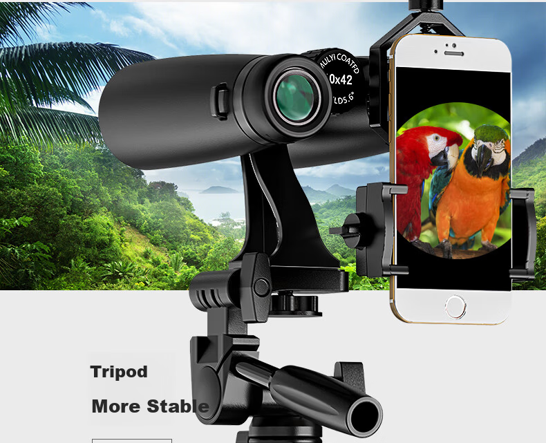 Celestron Lejian 10X42 High-Definition High-Power Low-Light Night Vision Portable Binoculars for Mobile Phone Outdoor Concert Sports Black 10