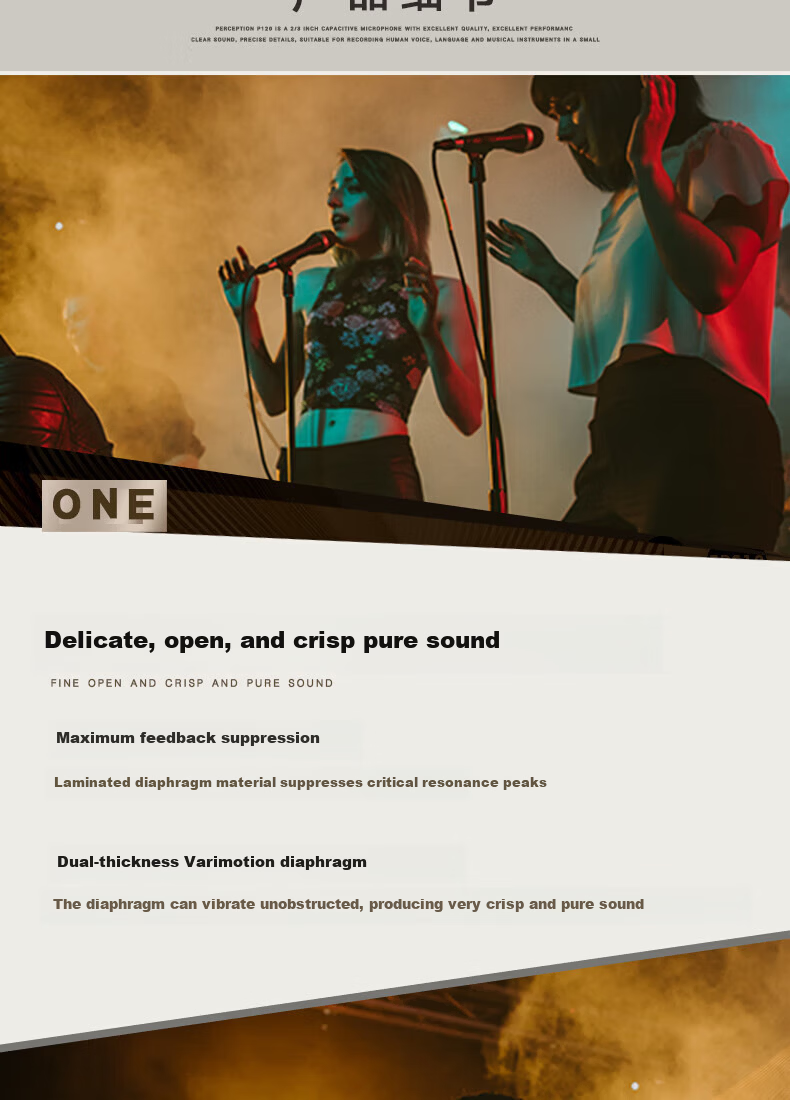 AKG D5 Professional Dynamic Microphone Wired Vocal Microphone for Home Karaoke, Singing, Live Performance, Stage, Recording, Hosting, Choir 4