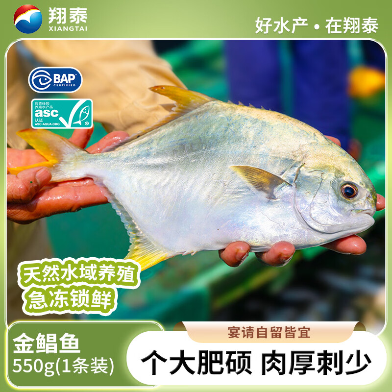 翔泰海南大规格金鲳鱼550g1条海鱼生鲜鱼类火锅 海鲜水产
