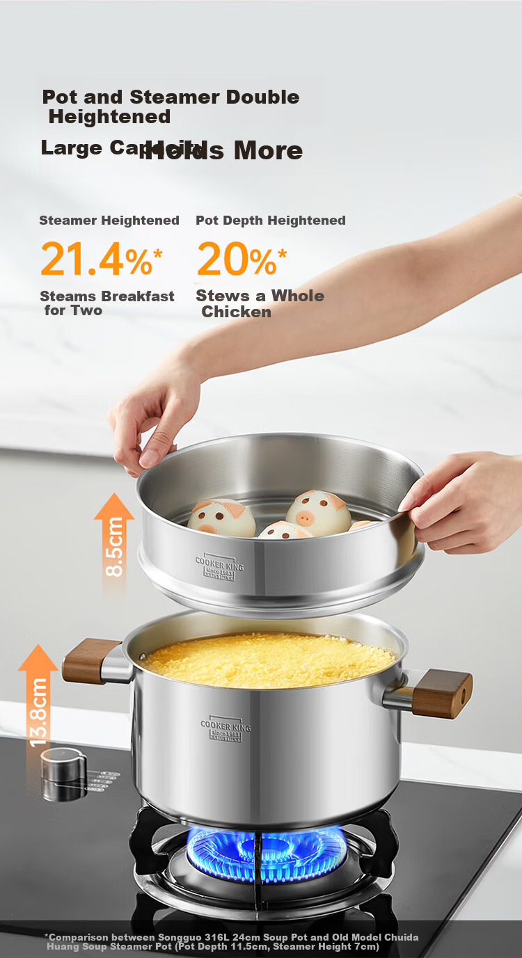 COOKER KING 316L Stainless Steel Soup Pot Baby Food Supplement Pot Stew Pot Steamer Double Handle Porridge and Noodle Cooking Pot 22cm 7